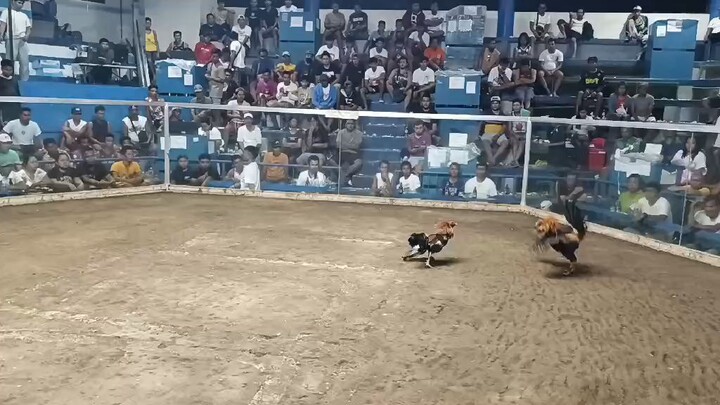 5th fight