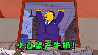 小白鼠产牛奶，牛奶厂被市长销毁后养活了猫咪