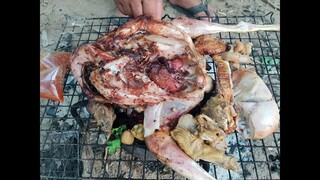 ย่างไก่ไส่มดแดง