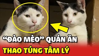 Cô gái bị THAO TÚNG TÂM LÝ bởi "ĐÀO MÈO" trong quán ăn 😂 | Yêu Lu