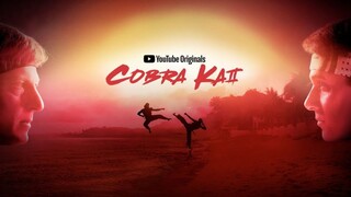 Cobra Kai Season 1 Episode 4 In Hindi Dub