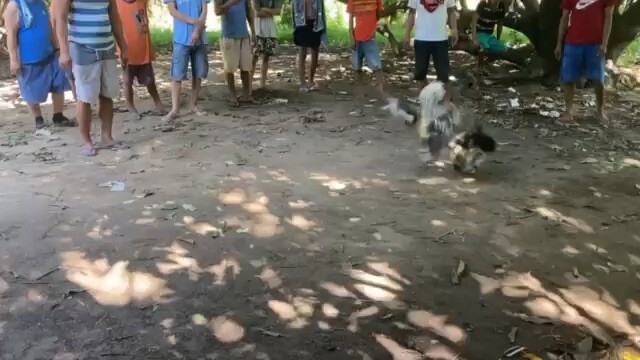 2xwinner kanawayon🐓