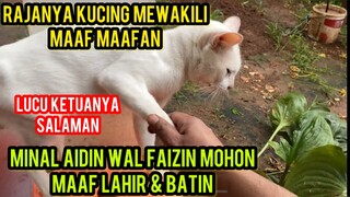 Lucu Kucing Lebaran Pada Saling Maaf-Maafan Mohon Maaf Lahir & Batin ..!
