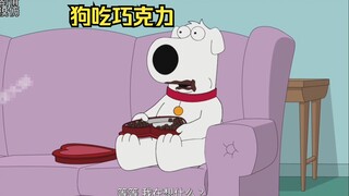 布莱恩吃下大量巧克力，才意识到自己是条狗