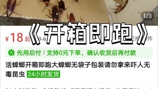 《蟑 螂 开 箱 即 跑》