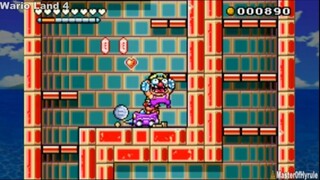 wario missionfailed