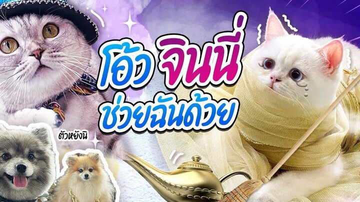 โอ้วจินนี่จ๋าช่วยข้าด้วย! 🥺 l Captain Quints Family