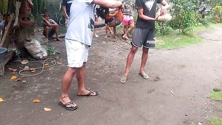 talo...sarap sana sabaw ng.manok nila