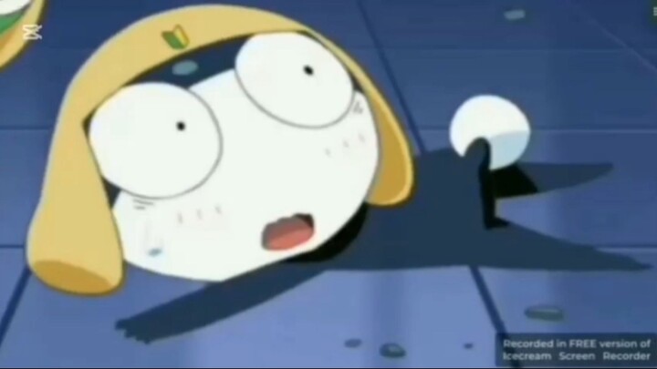 tamama wonderland  3d  hd