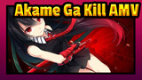 Akame Ga Kill AMV / Epic