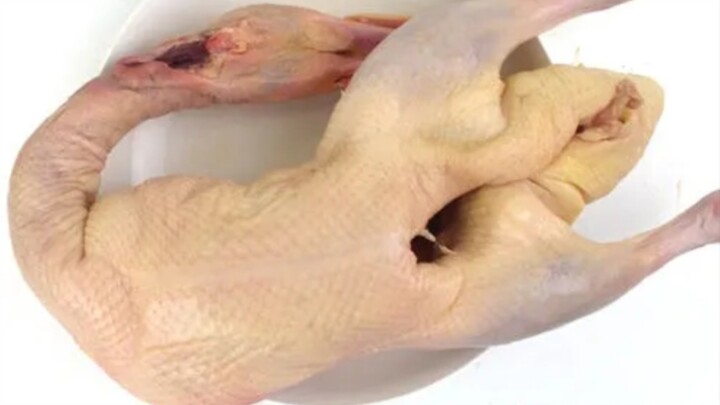 Witty comment: This is a duck.