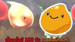 เลี้ยงสไลม์ 100 วัน เจอสไลม์ทองคำ Slime Rancher 2