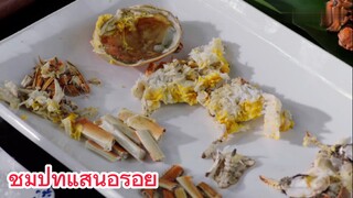 ชิมปูที่แสนอร่อย