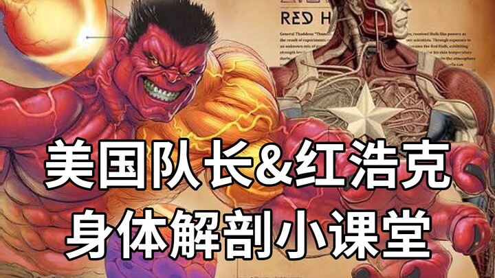 Must-Watch Before “Captain America 4”: A Deep Dive into Captain America and Red Hulk’s Past and Pres