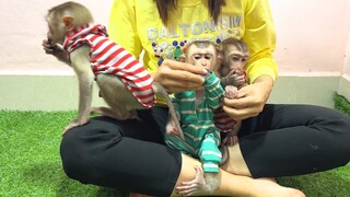 Mommy and the three monkeys