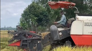 Máy Cắt Lúa KUBOTA l Máy Gặt Đập Liên Hợp