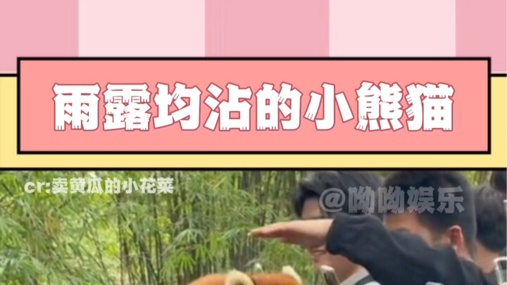 Lucu banget lucu banget lucu banget… (berulang berkali-kali)