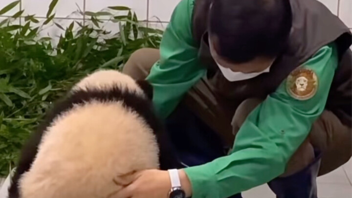 Thú thật với bạn, chính nhờ xem video này mà tôi đã “đổ” luôn! Trời ơi… dễ thương đến mức tôi muốn n