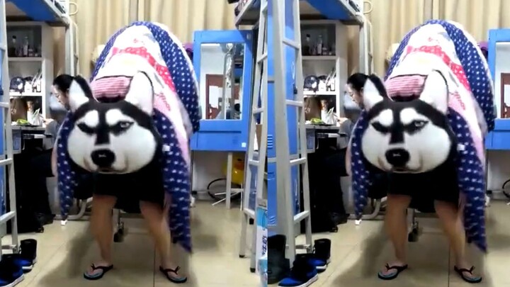 The most "real" girls' dormitory in history. Netizens: This is how I played before I was expelled fr