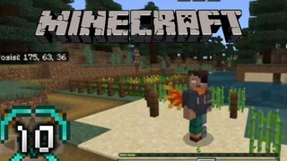 Minecraft Survival Indonesia, Merenovasi Dermaga & Memanen Gandum Serta Tebu