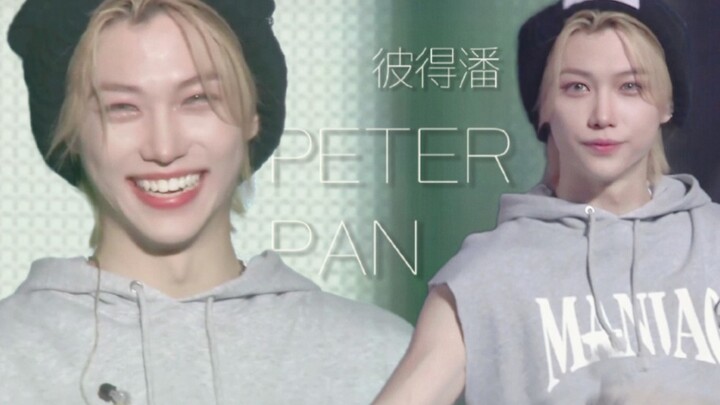 Kucing telinga berenergi yang suka menggoyangkan bulu, tolonglah selamanya jadilah Peter Pan kami | 