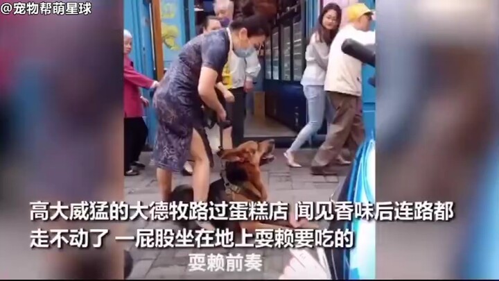 谁还不是一个宝宝了？