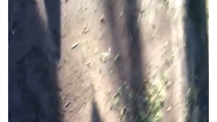 Cap Gamefowls of Davao Sweater Boston vs Wine red enjoy 😉 the spar ❤️