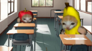 香蕉猫的期末考试，你身边有这样的朋友吗