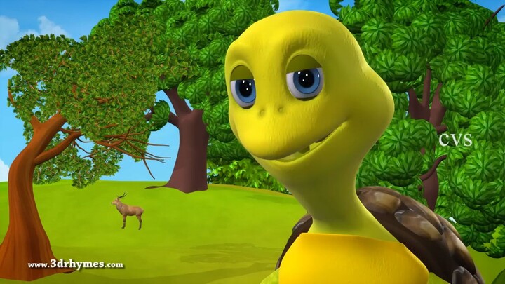 turtles 🐢 vs rabbit 🐇 race story #story