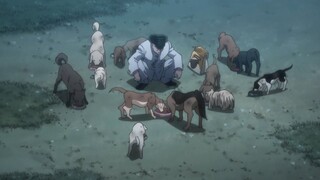 KNUCKLE LOVING DOG FOR 1 MIN STRAIGHT #HunterXHunter