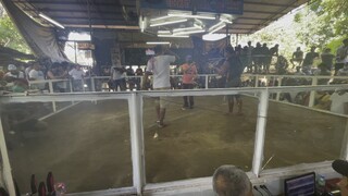 Regular Grey (2 hits) Win