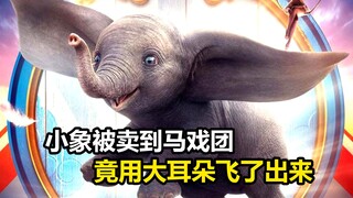 小象被卖到马戏团，最后却用两个大耳朵飞了出来，奇幻片