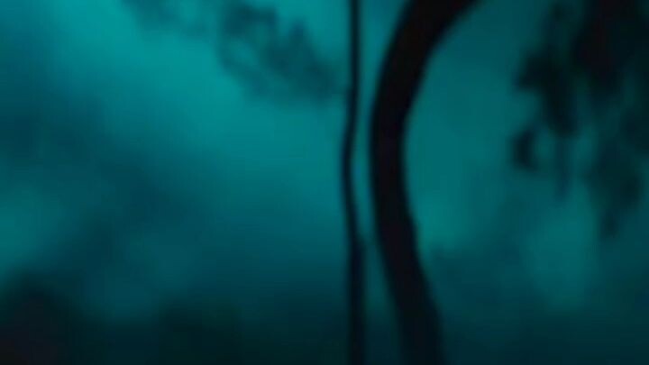 pushpa 2 . new movie trailer video 👍👍👍👍👍👍 pelase like