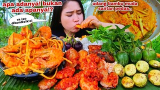 UDANG REBUNG SANTAN PEDAS SAMBAL JENGKOL LALAPAN JENGKOL MENTAH TERONG KEMANGI