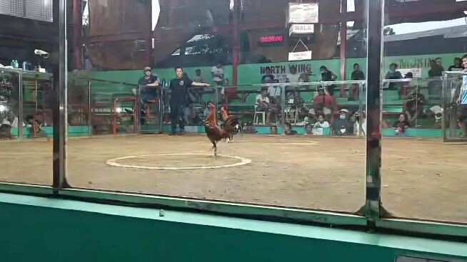 giba Ang magulang