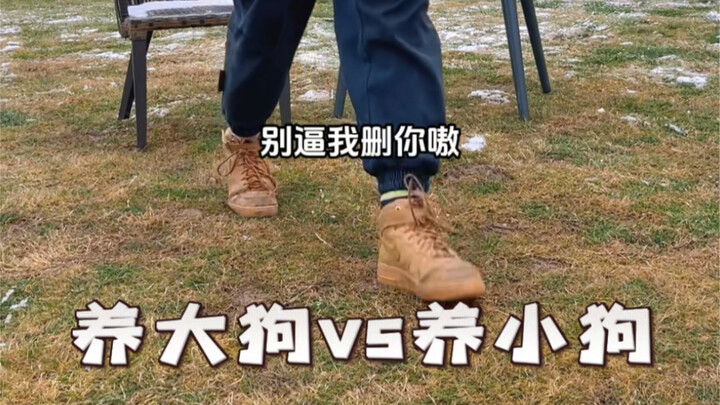 เลี้ยงหมาตัวใหญ่ vs เลี้ยงหมาตัวเล็ก ภาคสอง!