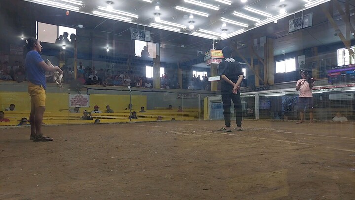 3JM BACKYARD (White Choco) Second figth