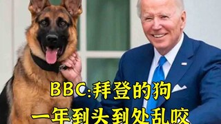 Indeed: BBC says Biden's dog bites everywhere all year round
