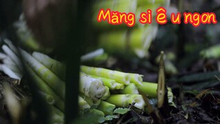Măng siêu ngon