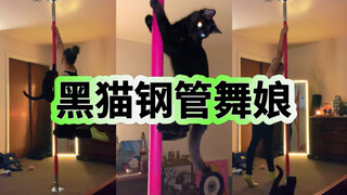 น้องแมวดำตัวน้อยที่เต้น Pole Dance กับคุณแม่ได้!