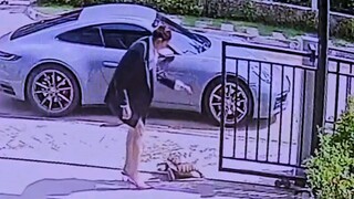 Suruh ibu berangkat kerja besok pagi🐢