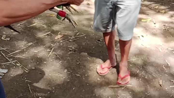 #preparation 4 November #warrior #lightningfeet