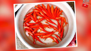 Đưa ông Táo về trời, người dân 'ĐỔ XÔ' đi mua cá chép tranh thủ đi sớm tìm cá CỰ