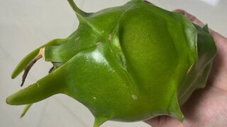 青皮火龙果