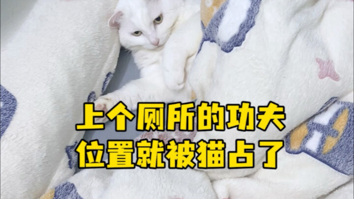 في لحظة ذهبت إلى الحمّام، سُرِقَ مكاني بالفعل!