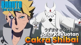 BORUTO TWO BLUE VORTEX CHAPTER 6  -MANIFESTASI CHAKRA DEWA FLAMBOYAN SHIBAI- HIPOTESA BORUTO