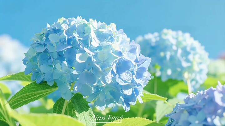 “Please tag the cutest person in the whole wide world to see the flowers”