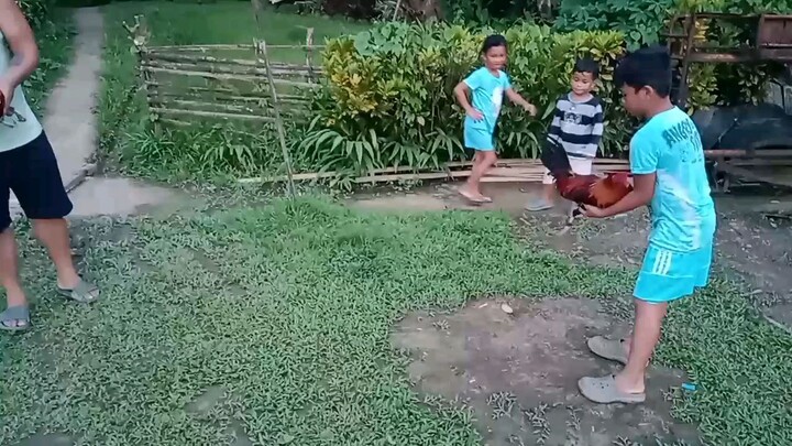 our first breeding sweater gilmore