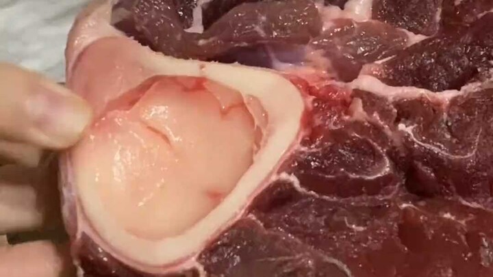 Teaching Huhu to Eat Meat
