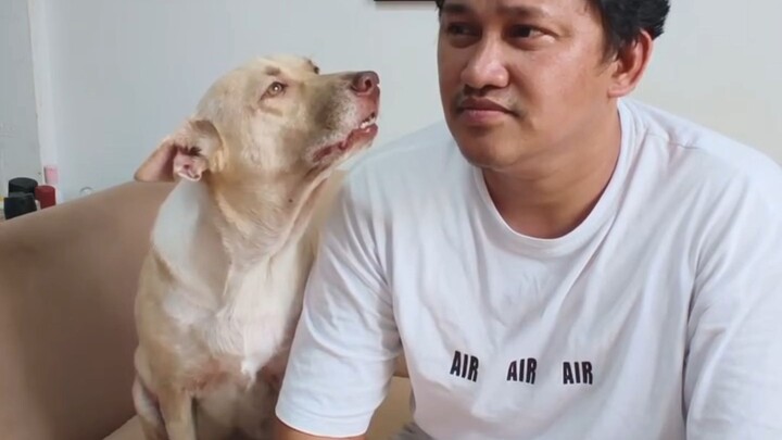 your so funny and clever dog